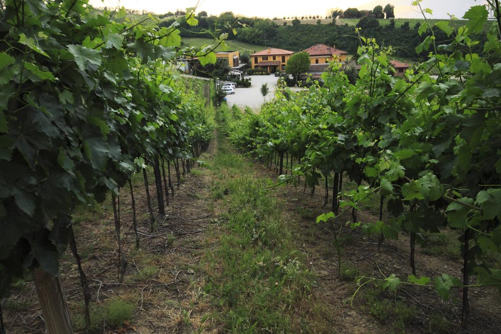Agriturismo Gaggioli Borgo Delle Vigne زولا بريدوسا المظهر الخارجي الصورة