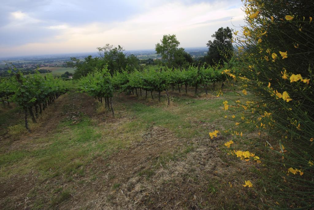 Agriturismo Gaggioli Borgo Delle Vigne زولا بريدوسا المظهر الخارجي الصورة