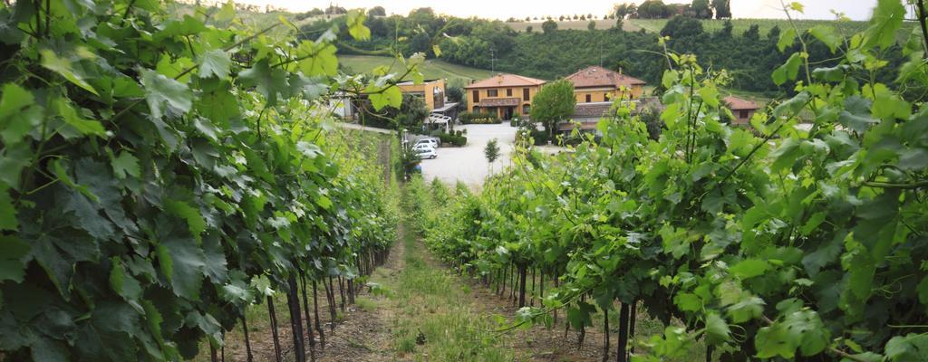 Agriturismo Gaggioli Borgo Delle Vigne زولا بريدوسا المظهر الخارجي الصورة