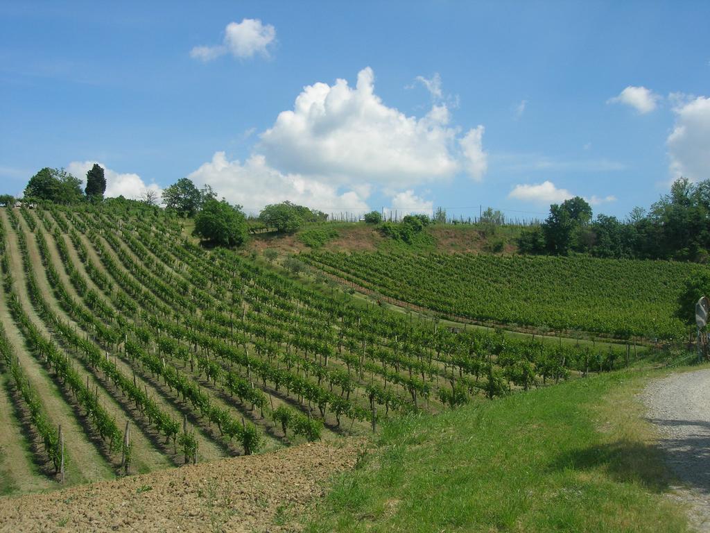 Agriturismo Gaggioli Borgo Delle Vigne زولا بريدوسا المظهر الخارجي الصورة